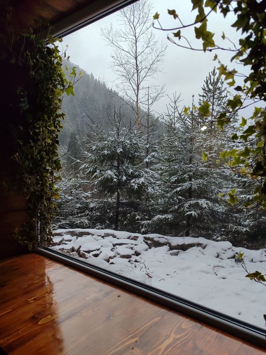 Відпочинок, котедж в Карпатах