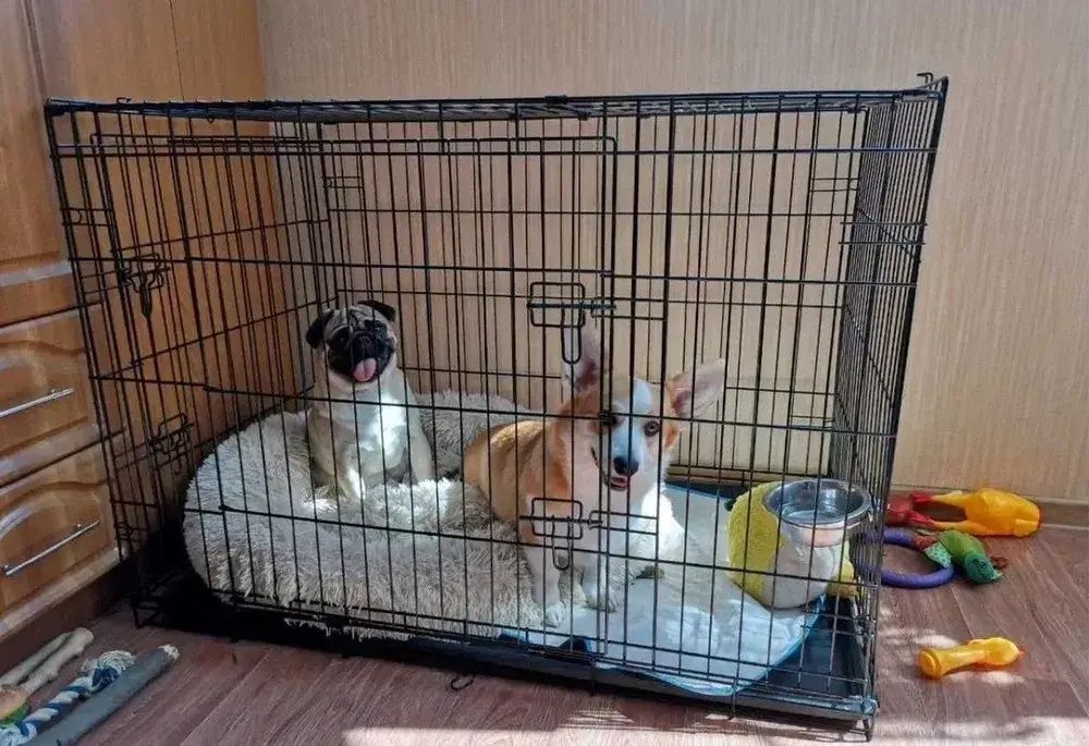 Клітка для собак, переноска, клітка для кішок, бокс, будка