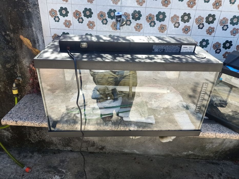 Conjunto de aquarios com acessórios