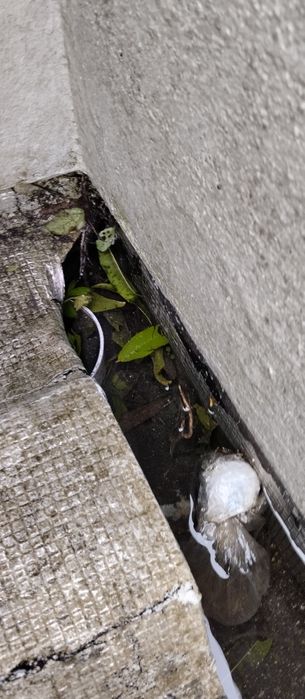 Limpeza de telhados serviço de serralharia e pintura etc