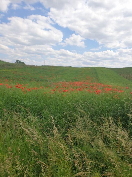 Mazury działka 103/21
