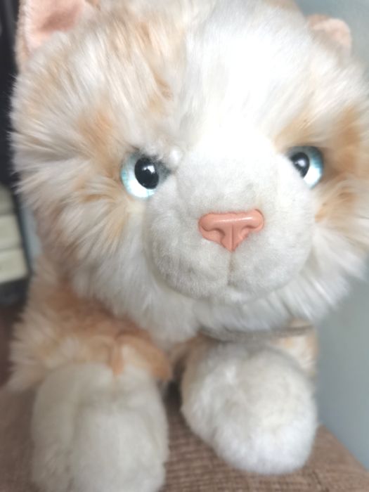 Кошка кицька подарунок до Дня закоханих