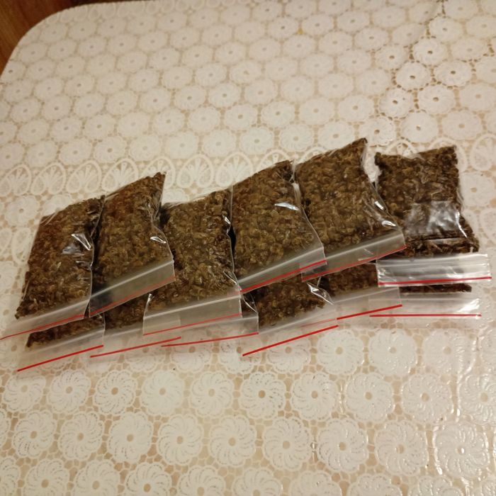 Продам бджолиний  підмор