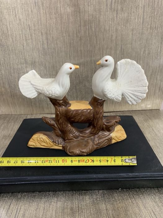 Парочка голубів, голуби