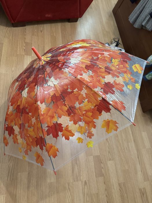 Зонтик полупрозрачный
