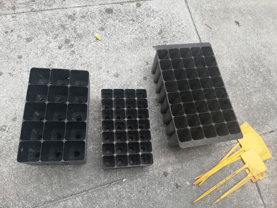 Tabuleiros  de sementes