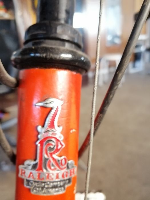 Bicicleta para adultos