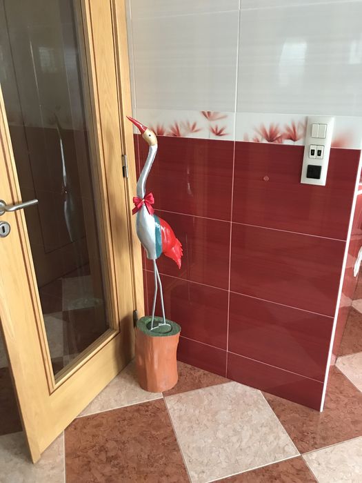 Ave Rara para decoração