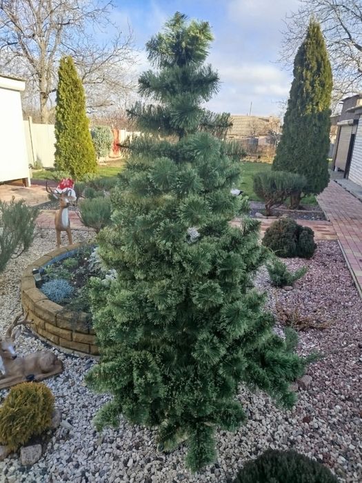 Продам искуственную елку 2 м