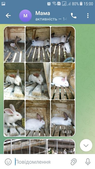 Продам кролі є різні