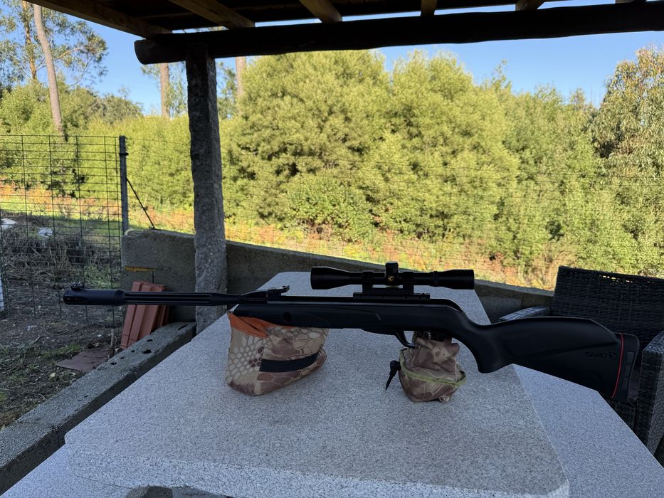 Carabinas novas 4.5/5.5 potentes