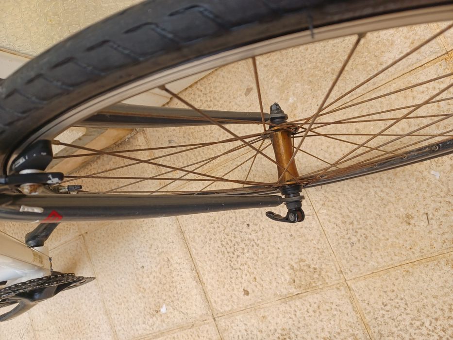 Bicicleta triban roda 25