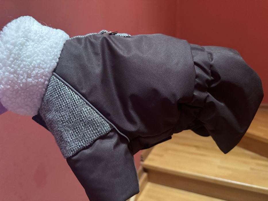 Костюм для собак Pet Fashion Locky S зима