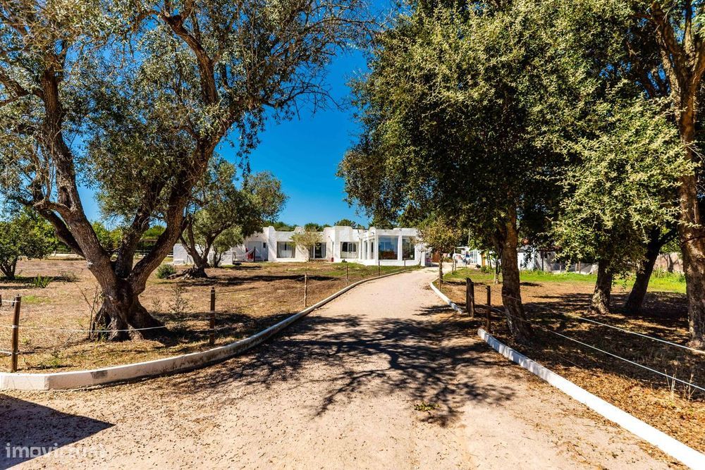 Herdade de 8000m2 com Moradia T3 + Habitação T2 | Moita