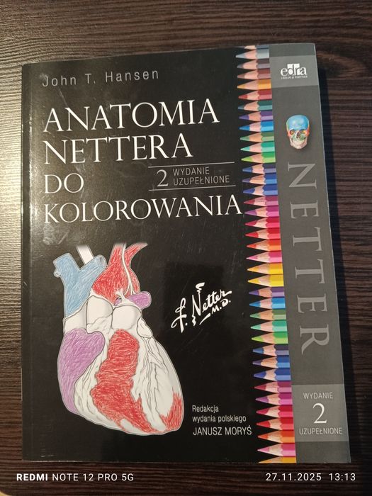 Anatomia Nettera do kolorowania