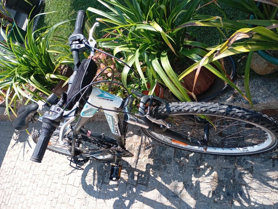 Bicicleta de Montanha Lakes Raider 210 - Júnior / Adolescente