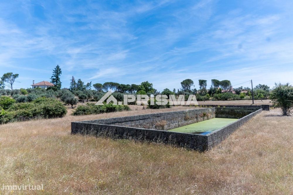 Herdade para Venda em Castelo Branco