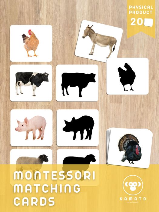 [22] Cartões | Sombras | Montessori | Quinta