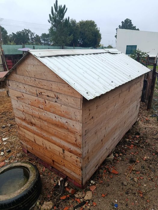 Casota para animais e comedouro