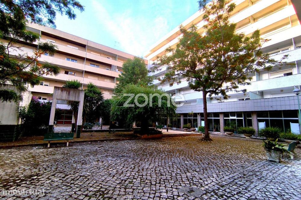 T1 para Arrendamento | Aura Curia | Curia – Anadia