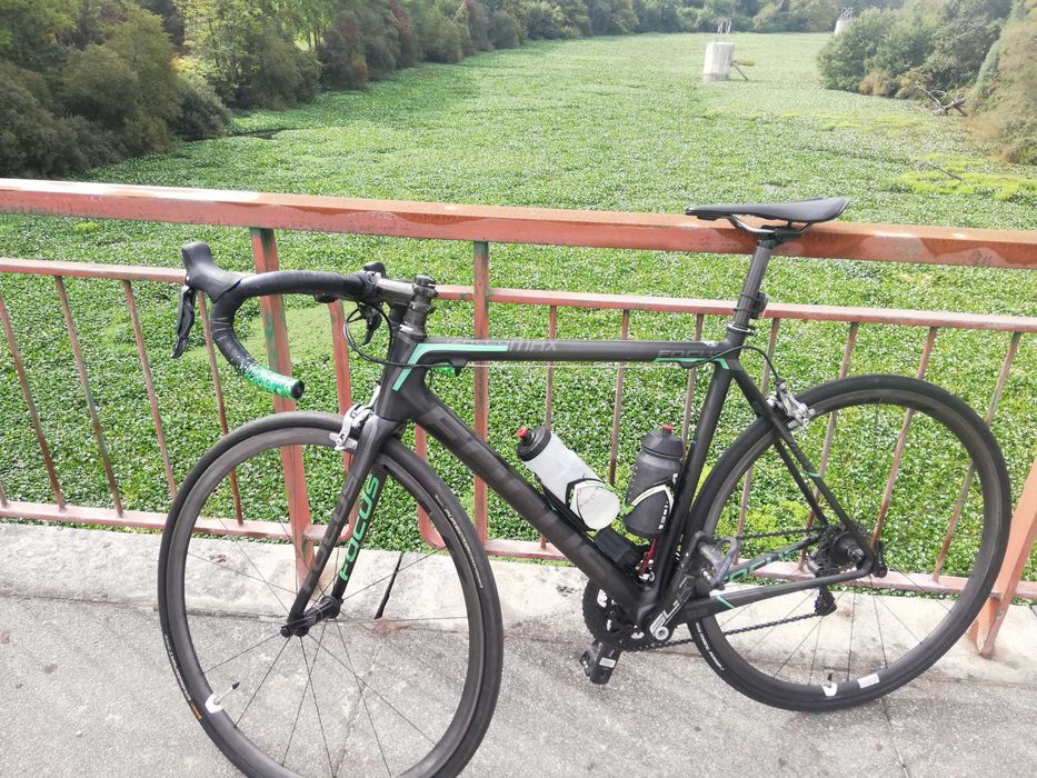 Focus izalco Max