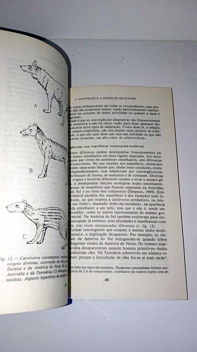 A Adaptação e a invenção do Futuro