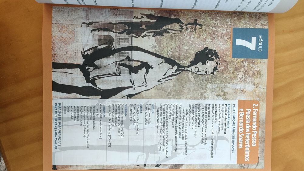 Novos Percursos Profissionais