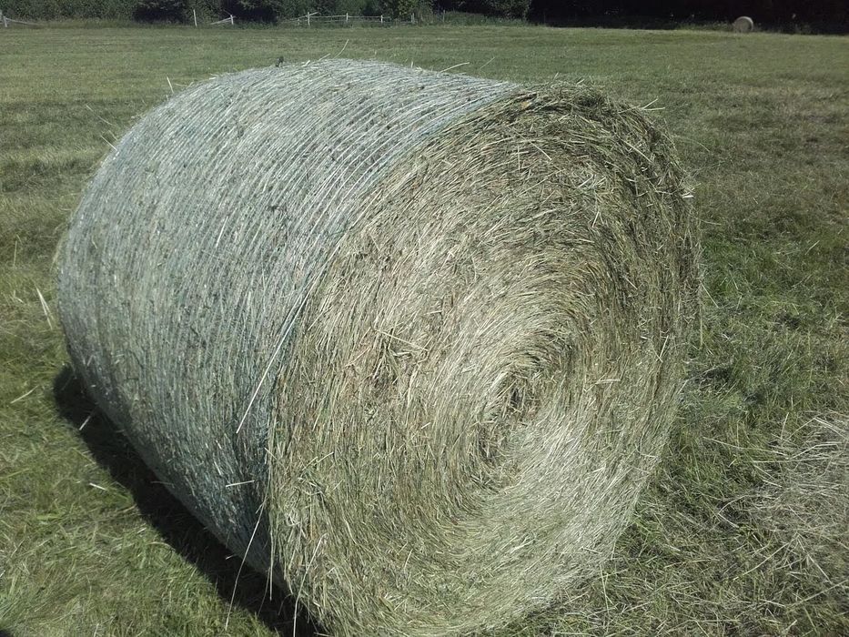 2025 Siano ekologiczne, sianokiszonka