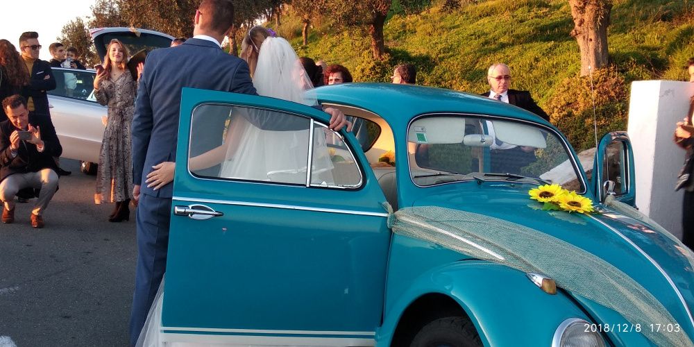 Alugo carocha para Eventos