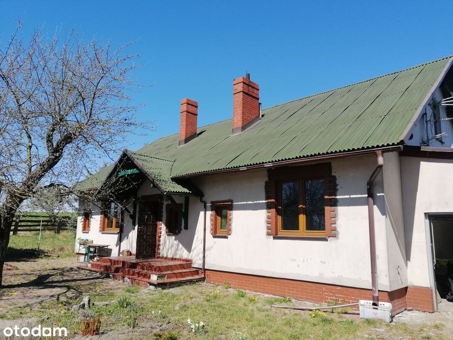 urocze siedlisko 40 km od Bydgoszczy