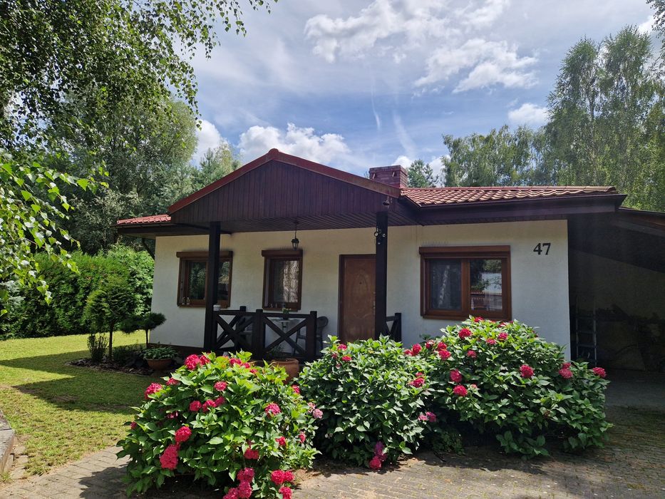 Uroczy domek w lesie nad jeziorem
