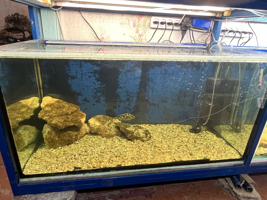 Акваріум Стойка на 4 акваріума по 250 л