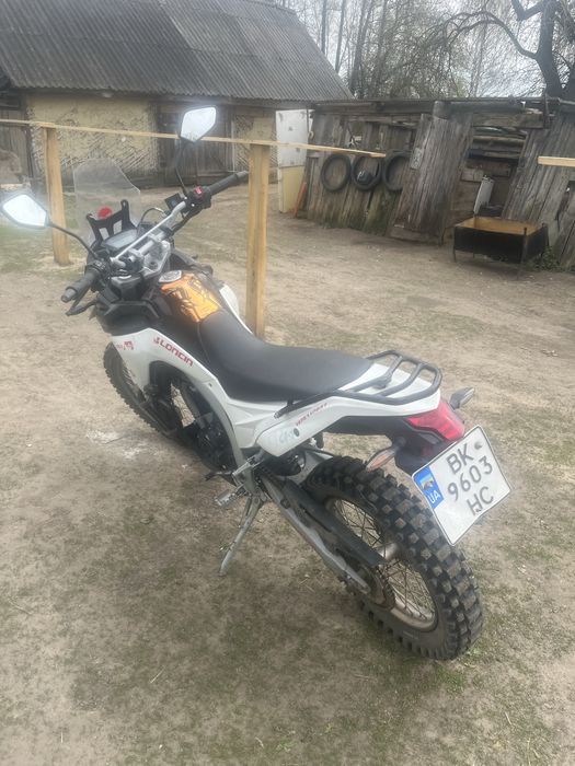 Продам лонсін ралі