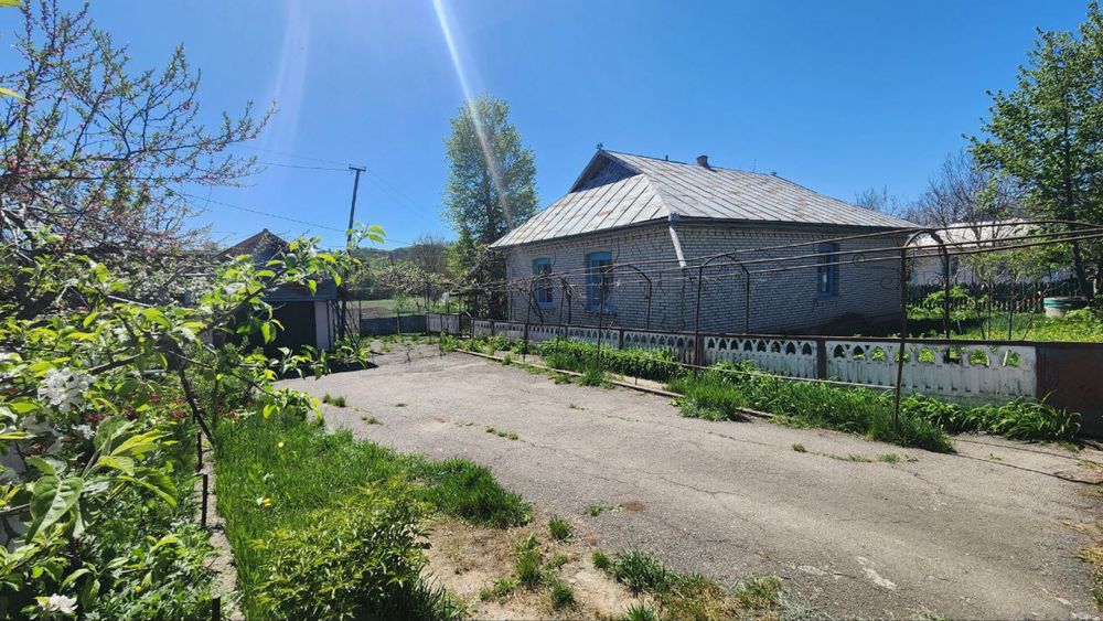 Два будинки на одному подвірʼї