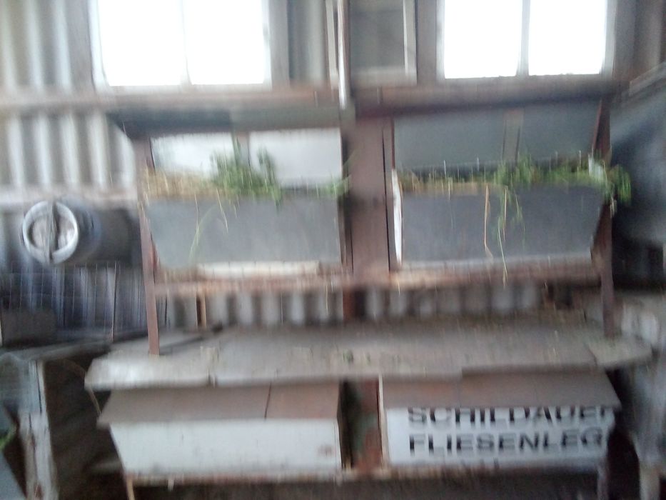 клітки для кролів.