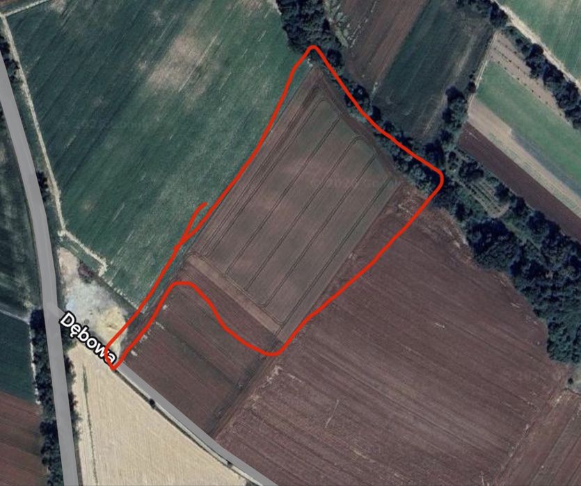 Pole uprawne 2,1 ha Bierzyce