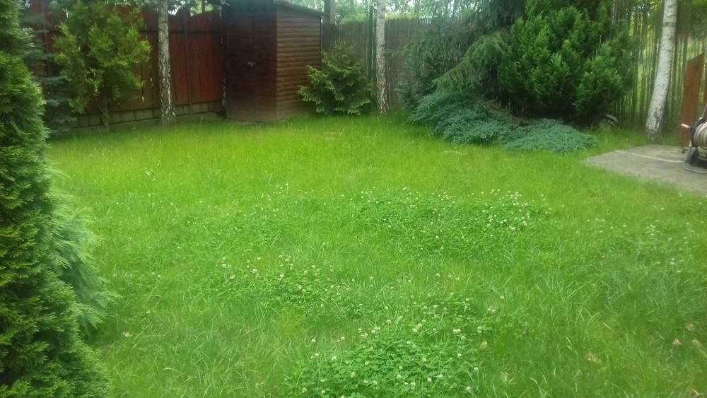 Здається будинок,в с.Дийда,,.біля озера