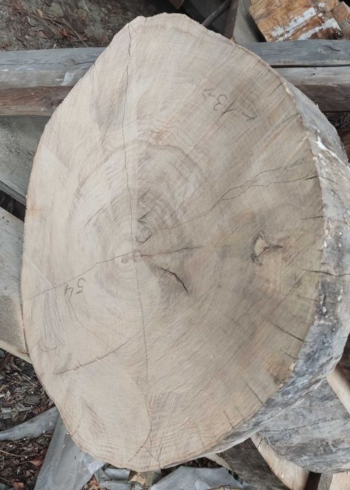 Plaster jesiona na stoliki itp