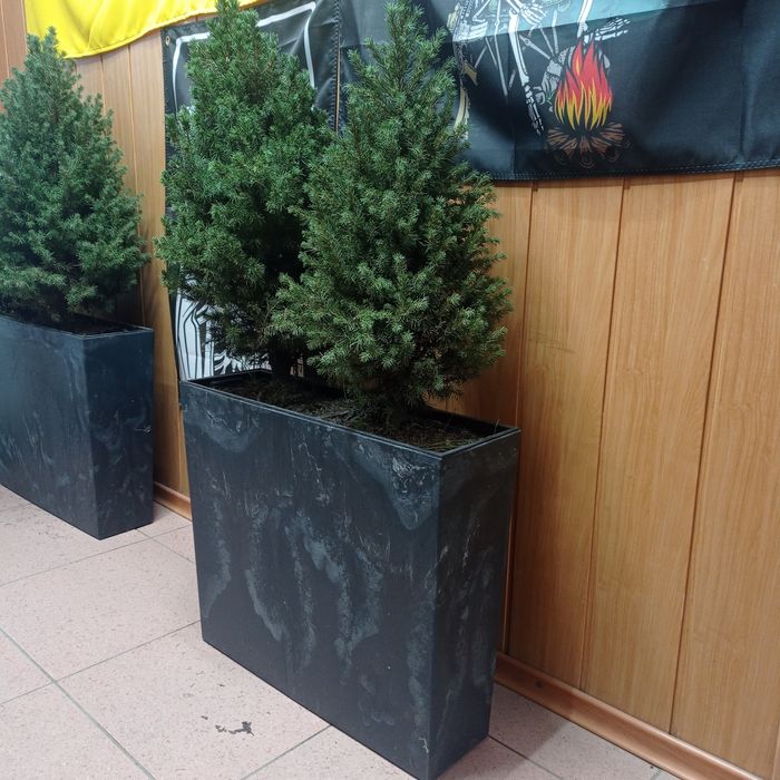 Кашпо для квітів