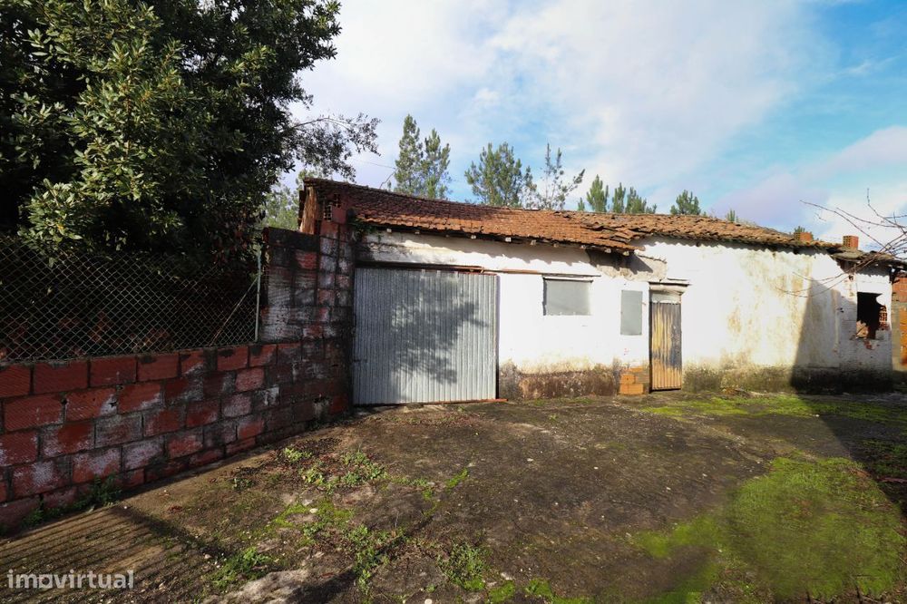 Terreno com ruina — Freixianda, Ribeira Do Fárrio E Formigais, Santarém