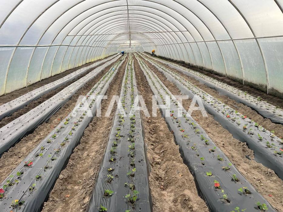 Продаж готового бізнесу з садівництвом м. Жовква
