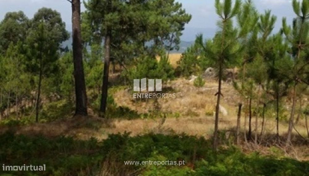 Venda Terreno, vista desafogada, Mesquinhata, Baião — Marco, Porto