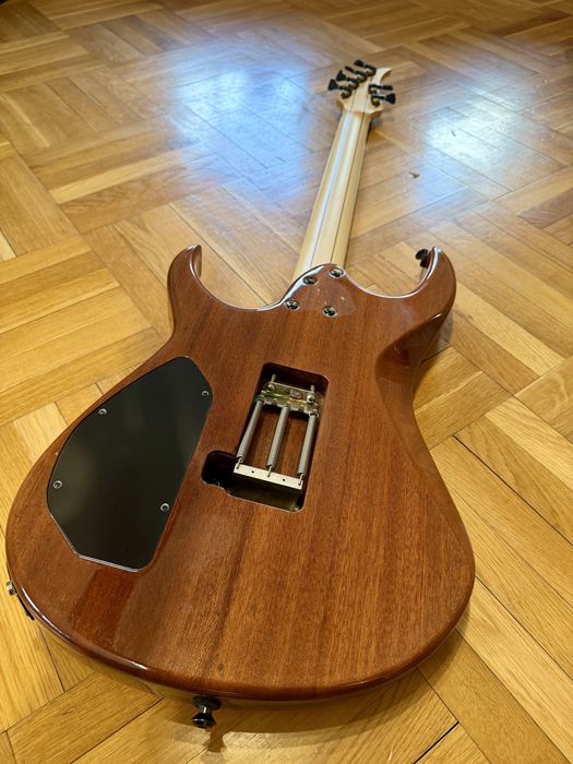 Gitara BLACKAT Leon, Bare Knuckle / zamiana