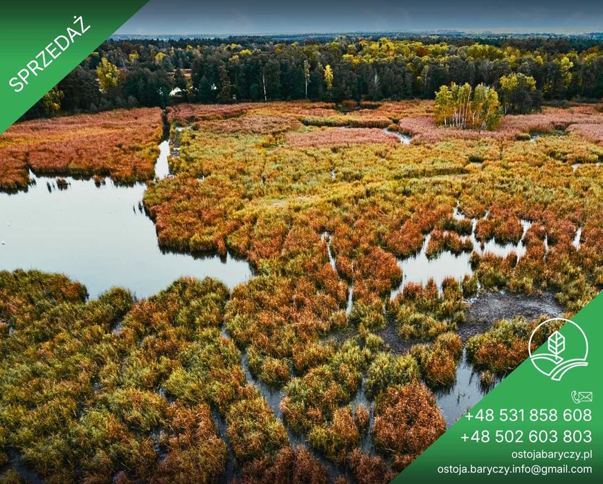 Zamień beton na las! Działka rekreacyjna 500 m² | Krośnice / Dolina Baryczy - Widok 5