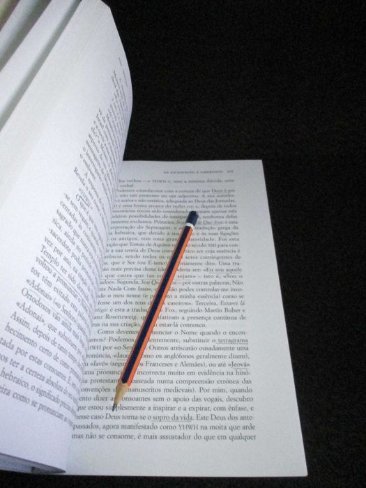 Livro A Herança Judaica Thomas Cahill 1ª edição 2000