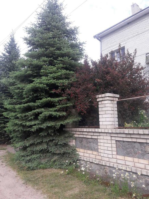 Продам 3х поверховий будинок в с,Березівка Харківський район,