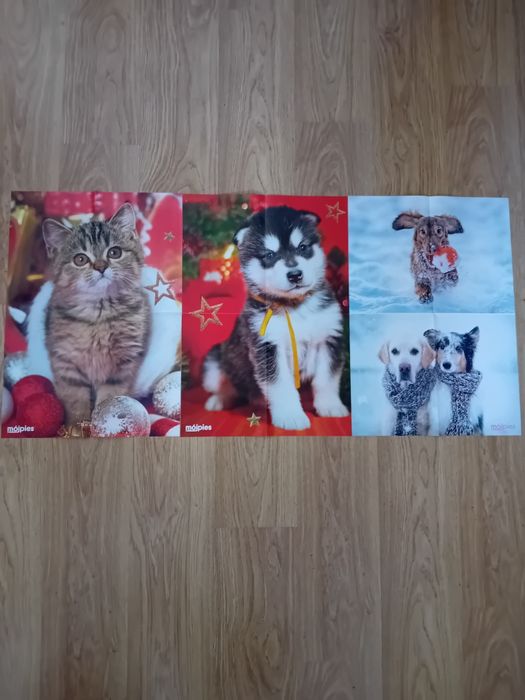 Plakaty Giga psy i koty Świąteczne Boże Narodzenie Zima