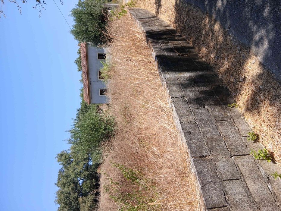 Casa e terreno perto do Agroal — Freixianda, Ribeira Do Fárrio E Formigais, Santarém