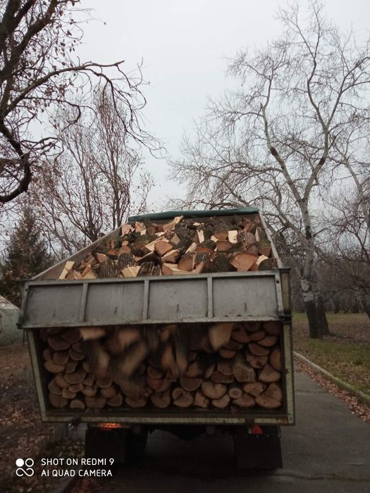 Дрова твердых пород продам Акация ,ясень ,клён по выгодным ценам.