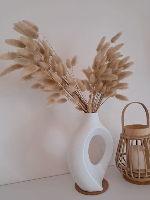 Plantas secas  (natural)